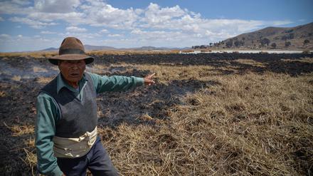 11.10.2023, Bolivien, Huarina: Gregorio Apaza zeigt auf verbrannte Rohrkolben auf der Insel Cojata am Titicacasee.