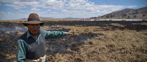 11.10.2023, Bolivien, Huarina: Gregorio Apaza zeigt auf verbrannte Rohrkolben auf der Insel Cojata am Titicacasee.