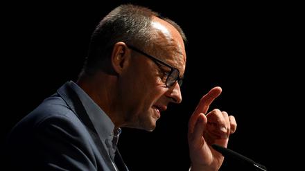 CDU-Chef Friedrich Merz riet der Bundesregierung, sich Dänemark oder Österreich als Vorbild in Migrationsfragen zu nehmen.