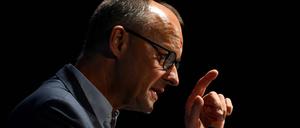 CDU-Chef Friedrich Merz riet der Bundesregierung, sich Dänemark oder Österreich als Vorbild in Migrationsfragen zu nehmen.