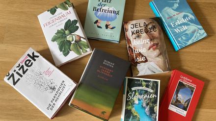 Eine geballte Ladung Slowenisches. Blick auf aktuelle Neuerscheinungen des Buchmesse-Gastlandes, darunter auch einige der hier besprochenen