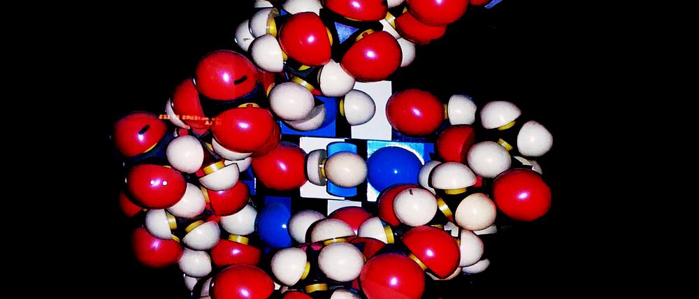 Als Doppelhelix kann DNA Informationen speichern und als Vorbild für ziemlich identische Kopien dienen.