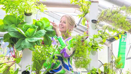 Grüne Ideen gehen ihr nicht aus: die promovierte Landschaftsplanerin Grit Bürgow im Gewächshaus der „Roof Water-Farm“.