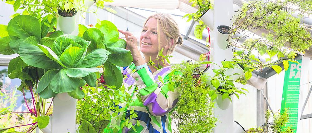 Grüne Ideen gehen ihr nicht aus: die promovierte Landschaftsplanerin Grit Bürgow im Gewächshaus der „Roof Water-Farm“.