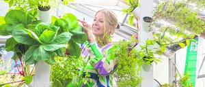 Grüne Ideen gehen ihr nicht aus: die promovierte Landschaftsplanerin Grit Bürgow im Gewächshaus der „Roof Water-Farm“.
