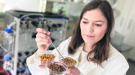 Anja Maria Wagemans entwickelt Gesundes, das schmeckt.