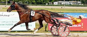 Der amtierende Europameister Alessandro Gocciadoro aus Italien wird ebenfalls an den Start gehen bei den Breeders-Crown-Prüfungen.