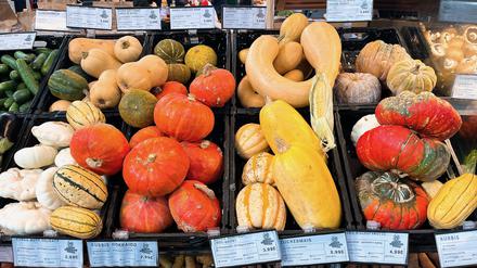 Freuden der Vielfalt: Kürbisse in der Markthalle Neun.