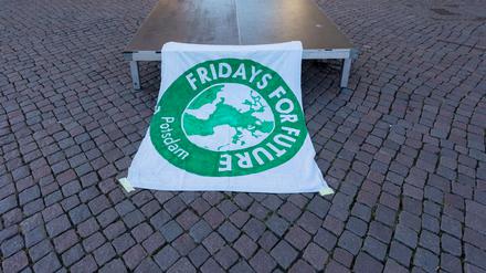 Klimademo Fridays for Future am Brandenburger Tor in Potsdam.