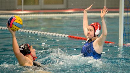 Voller Angriff. Nicht nur in der Bundesliga, wie hier gegen Bochum, wollen Spandaus Wasserballerinnen glänzen.