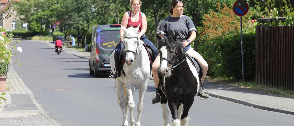 Dörfliche Idylle: Eine Aufnahme aus dem Ortsteil Golm aus diesem Sommer. 