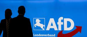 Delegierte und Besucher kommen zum Landesparteitag der AfD Niedersachsen in der Congress Union Celle. 