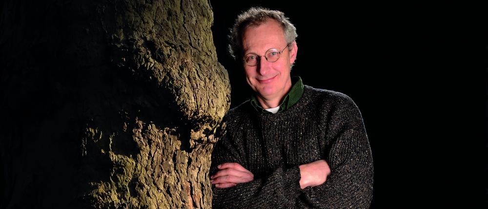 Die drängendste Gefahr für den deutschen Wald sei der Klimawandel, sagt Christian Ammer.