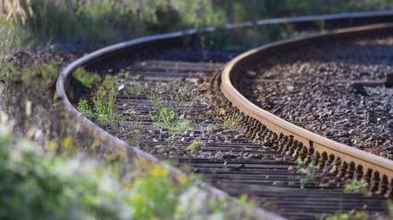 ARCHIV - 18.09.2019, Mecklenburg-Vorpommern, Malchin: Unkraut wächst zwischen den Gleisen auf dem Gelände eines Bahnhofs. Die Bundesländer haben zunehmend erkannt, dass mit der Reaktivierung alter Bahnstrecken Millionen Menschen ans Schienennetz angeschlossen werden könnten. Bei der Umsetzung hakt es aus Sicht zweier Branchenverbände aber weiter. (zu dpa: «Verbände: Länder haben Streckenreaktivierung stärker auf dem Schirm») Foto: Jens Büttner/dpa-Zentralbild/dpa +++ dpa-Bildfunk +++
