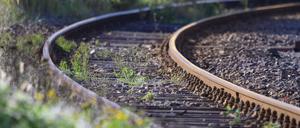 ARCHIV - 18.09.2019, Mecklenburg-Vorpommern, Malchin: Unkraut wächst zwischen den Gleisen auf dem Gelände eines Bahnhofs. Die Bundesländer haben zunehmend erkannt, dass mit der Reaktivierung alter Bahnstrecken Millionen Menschen ans Schienennetz angeschlossen werden könnten. Bei der Umsetzung hakt es aus Sicht zweier Branchenverbände aber weiter. (zu dpa: «Verbände: Länder haben Streckenreaktivierung stärker auf dem Schirm») Foto: Jens Büttner/dpa-Zentralbild/dpa +++ dpa-Bildfunk +++