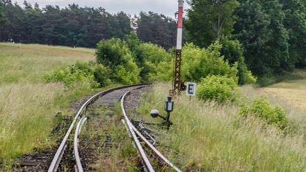 DEU, Deutschland, Brandenburg, Prötzel, 10.06.2019: Stillgelegte Bahngleise der Bahnstrecke Berlin Wriezen (Wriezener Bahn) im Bereich des Bahnhofs Sternebeck. Im Jahr 1998 wurde der Verkehr eingestellt. *** DEU, Germany, Brandenburg, Prötzel, 10 06 2019 Disused tracks on the Berlin Wriezen Wriezener Bahn railway line in the Sternebeck station area In 1998, traffic was stopped