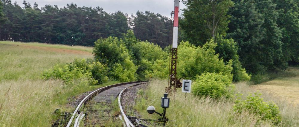DEU, Deutschland, Brandenburg, Prötzel, 10.06.2019: Stillgelegte Bahngleise der Bahnstrecke Berlin Wriezen (Wriezener Bahn) im Bereich des Bahnhofs Sternebeck. Im Jahr 1998 wurde der Verkehr eingestellt. *** DEU, Germany, Brandenburg, Prötzel, 10 06 2019 Disused tracks on the Berlin Wriezen Wriezener Bahn railway line in the Sternebeck station area In 1998, traffic was stopped