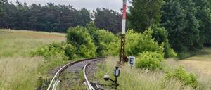 DEU, Deutschland, Brandenburg, Prötzel, 10.06.2019: Stillgelegte Bahngleise der Bahnstrecke Berlin Wriezen (Wriezener Bahn) im Bereich des Bahnhofs Sternebeck. Im Jahr 1998 wurde der Verkehr eingestellt. *** DEU, Germany, Brandenburg, Prötzel, 10 06 2019 Disused tracks on the Berlin Wriezen Wriezener Bahn railway line in the Sternebeck station area In 1998, traffic was stopped