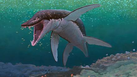 Die künstlerische Darstellung zeigt den Pliosaurier Lorrainosaurus. 