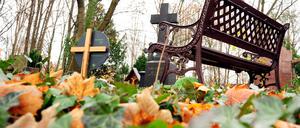 Der Katholische Domfriedhof St. Hedwig in der Liesenstraße 8 in Berlin-Moabit.