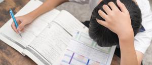 Schlechte Noten im Übergangszeugnis können den Lebensverlauf eines Kindes enorm beeinflussen. Was lässt sich dagegen tun?