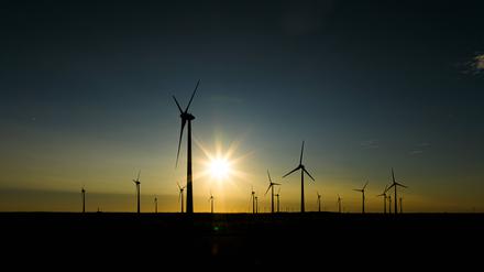 Windkraftanlagen sind im Licht der niedrig stehenden Sonne in einem Windpark zu sehen. 