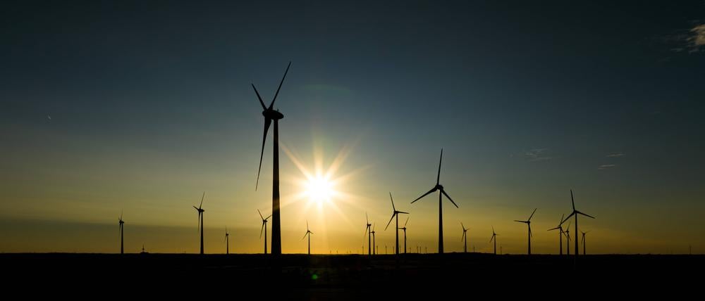 Windkraftanlagen sind im Licht der niedrig stehenden Sonne in einem Windpark zu sehen.