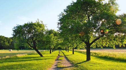 Der Botanische Volkspark Blankenfelde.