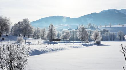 Blick über die idyllische Winterlandschaft rund um den Ritzensee. 