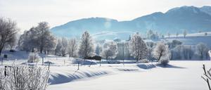 Blick über die idyllische Winterlandschaft rund um den Ritzensee. 