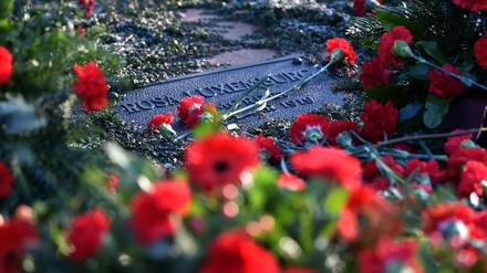 Rote Nelken liegen an der Gedenkstätte der Sozialisten auf dem Zentralfriedhof Friedrichsfelde in Berlin.