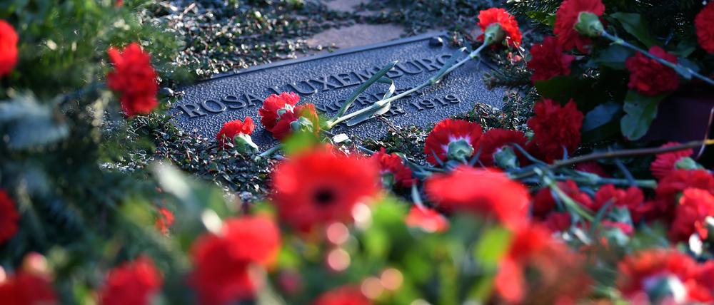 Rote Nelken liegen an der Gedenkstätte der Sozialisten auf dem Zentralfriedhof Friedrichsfelde in Berlin.