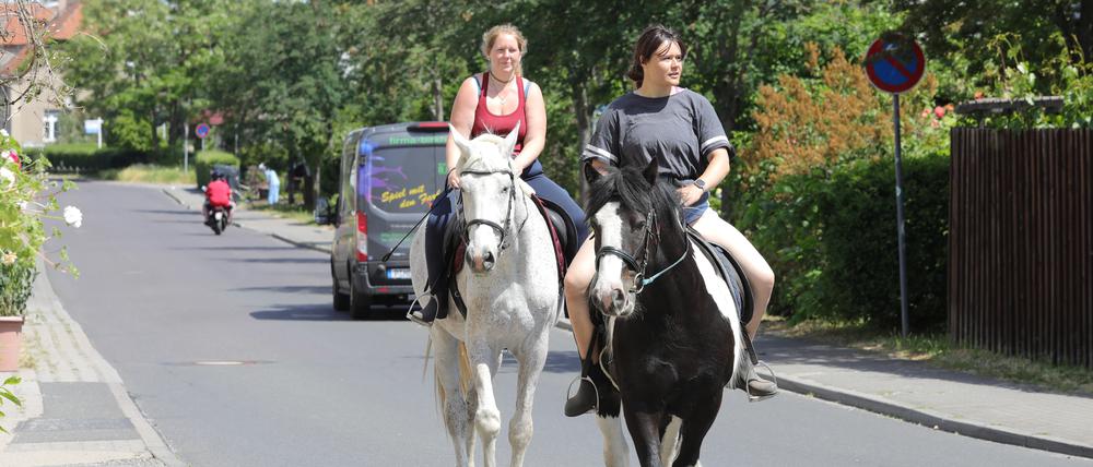 Symbolbild: Dörfliche Idylle im Ortsteil Golm.