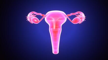 The reproductive system or genital system is a system of sex organs within an organism which work together for the purpose of sexual reproduction.