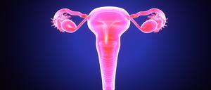 The reproductive system or genital system is a system of sex organs within an organism which work together for the purpose of sexual reproduction.