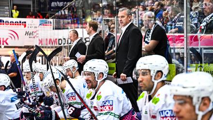 Serge Aubin, Cheftrainer der Eisbären, steht vor der ersten großen Prüfung der neuen Saison.