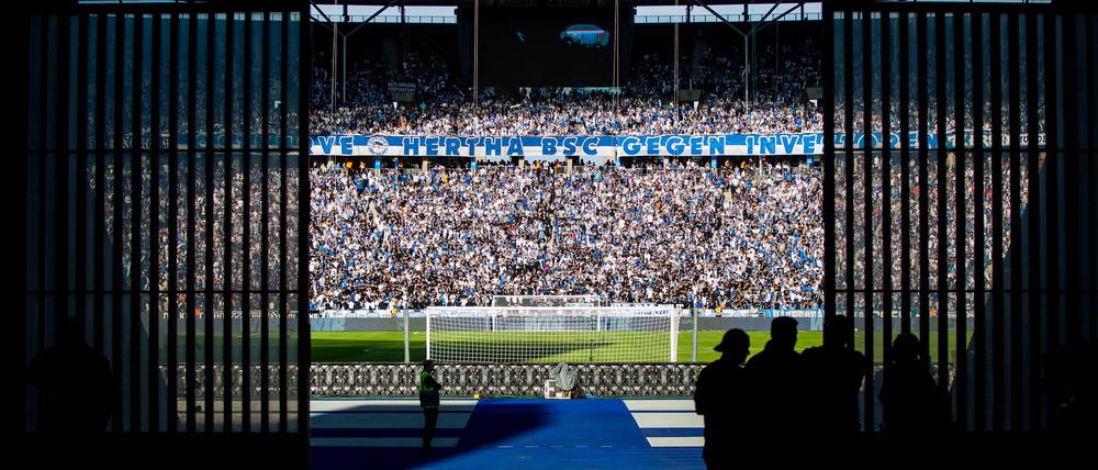 Herthas Kurve begreift sich selbst als unpolitisch. Zu einigen gesellschaftlichen Themen bezieht sie dennoch Stellung.