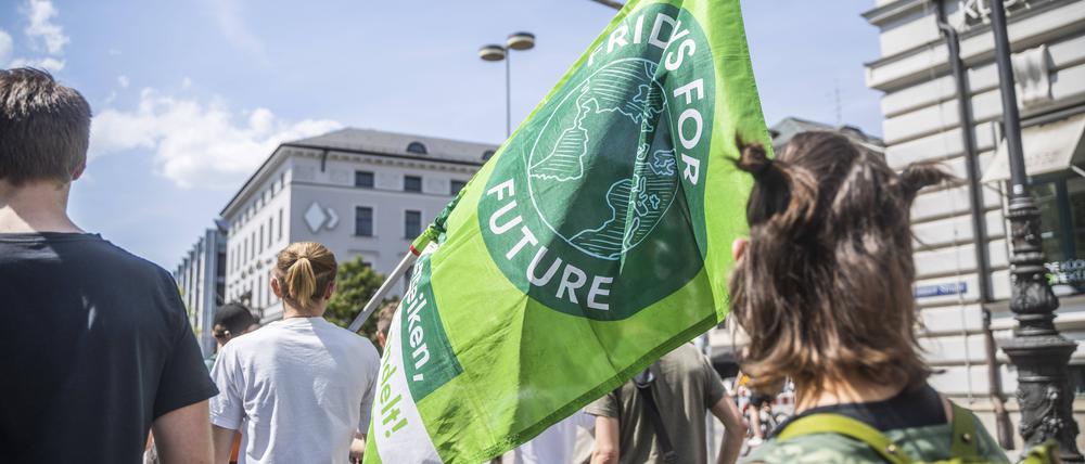 Eine Demo von Fridays for Future in München