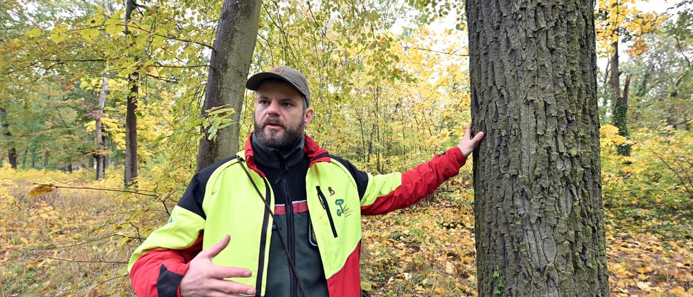 Förster Johannes Herweg im Potsdamer Wildpark
