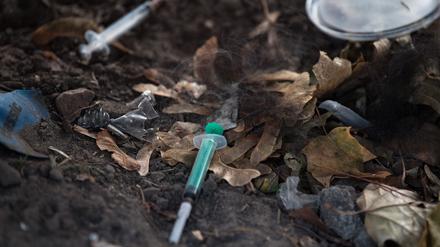 Spritzen liegen im Anita-Berber-Park an der Hermannstraße im Laub.