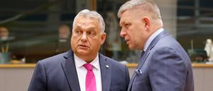 Ungarns Premier Viktor Orban (l.) und sein slowakischer Amtskollege Robert Fico.
