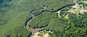 Die Abholzung im Amazonas ist auf den niedrigsten Wert seit sechs Jahren gesunken.