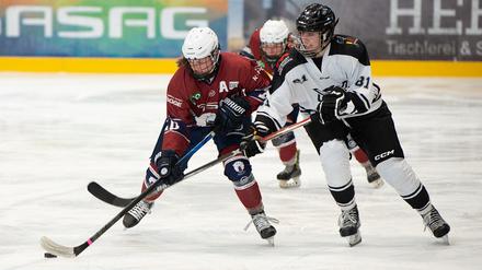 Spiel der Eisbärinnen gegen Amsterdam