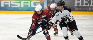 Spiel der Eisbärinnen gegen Amsterdam