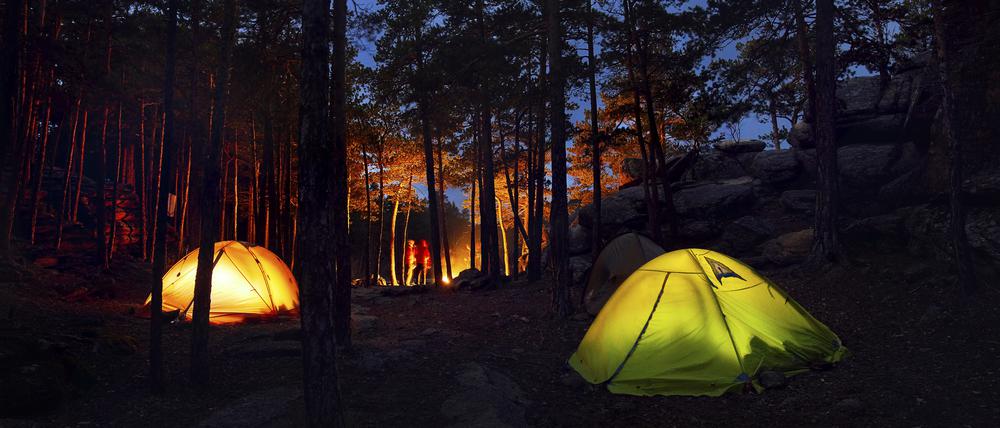 Beim WalkAway verbringen Jugendliche eine Nacht alleine im Wald.