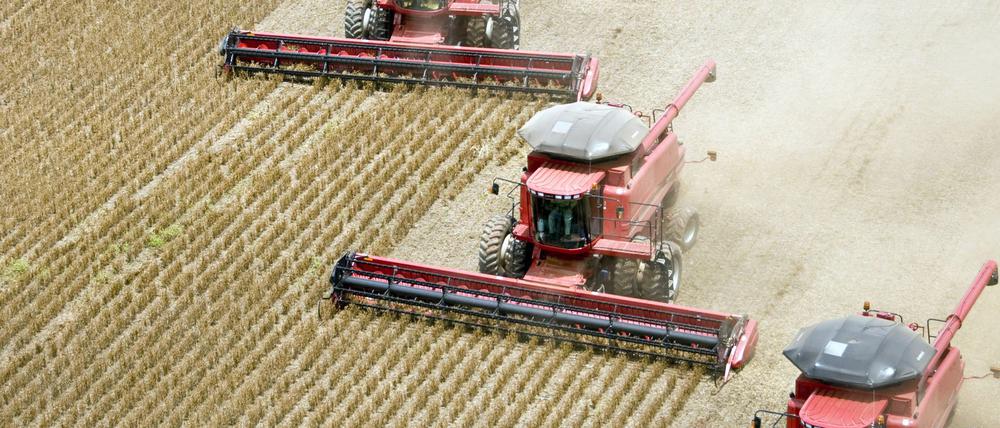 Beim Anbau von Soja, wie hier auf der Fartura Farm in Campo Verde in Brasilien, werden Pestizide eingesetzt – mit Folgen.