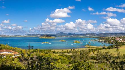 Ferienkatalogpanoma, die Bucht von Les Trois-liets. Doch in Wasser, Böden und Körpern auf Martinique ist Gift. 