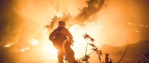Ein Buschfeuer in Kalifornien hat sich bereits auf eine Fläche von 900 Hektar  ausgebreitet. (Archivfoto)
