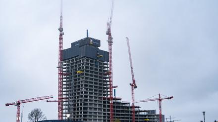 „Demokratie ist der Motor für Wirtschaftswachstum“, sagt Volkswissenschaftlerin Vanessa Boese-Schlosser.
