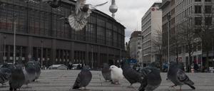 Tauben fliegen am S-Bahnhof Friedrichstraße am Dorothea-Schlegel Platz. 